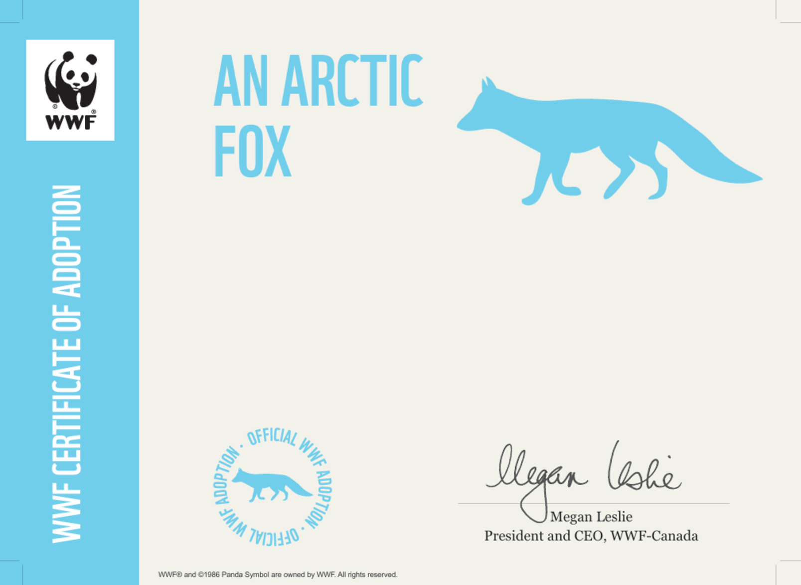 Certificate preview