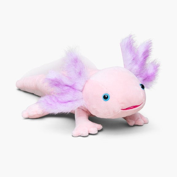 Axolotl - WWF-Canada
