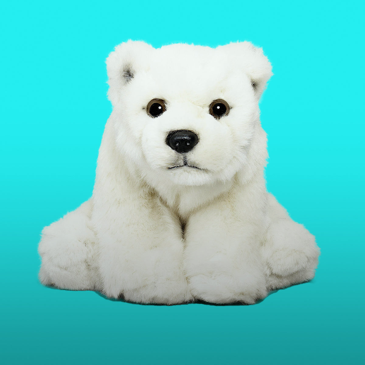 PELUCHE OURS POLAIRE BLANC : CE Eveil Bouchara