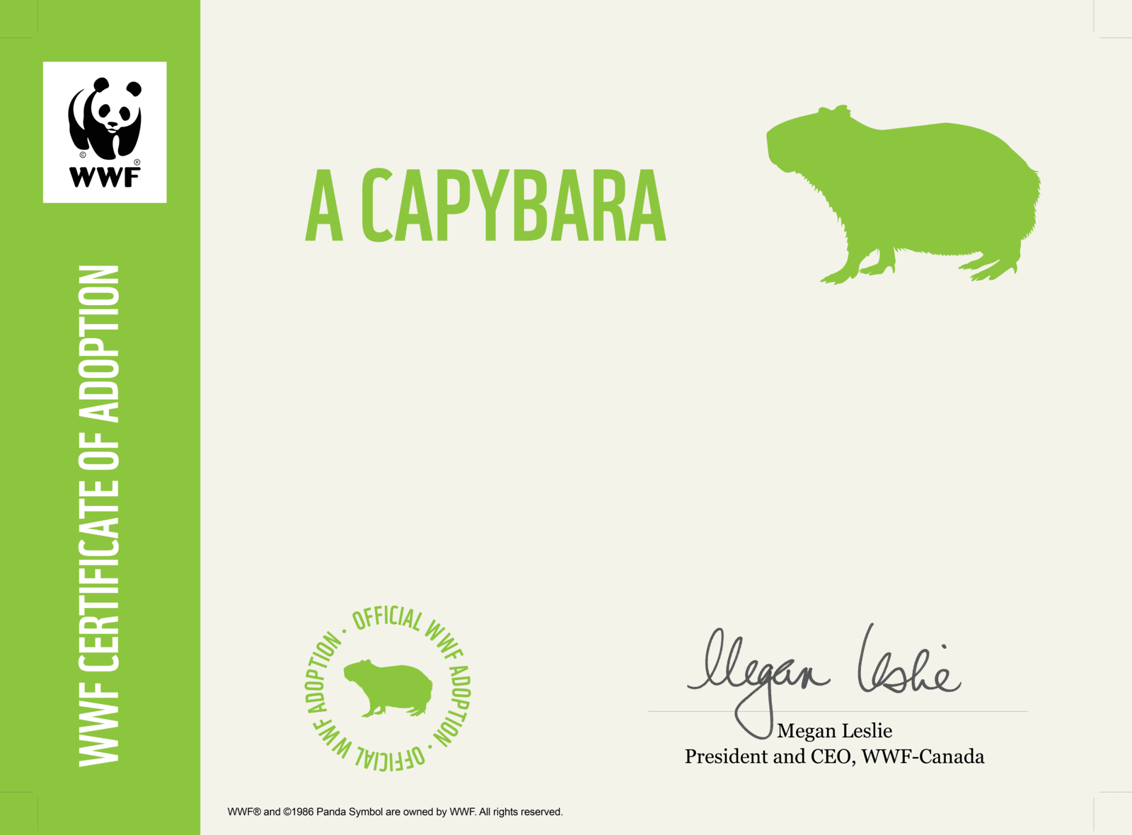 Certificate preview