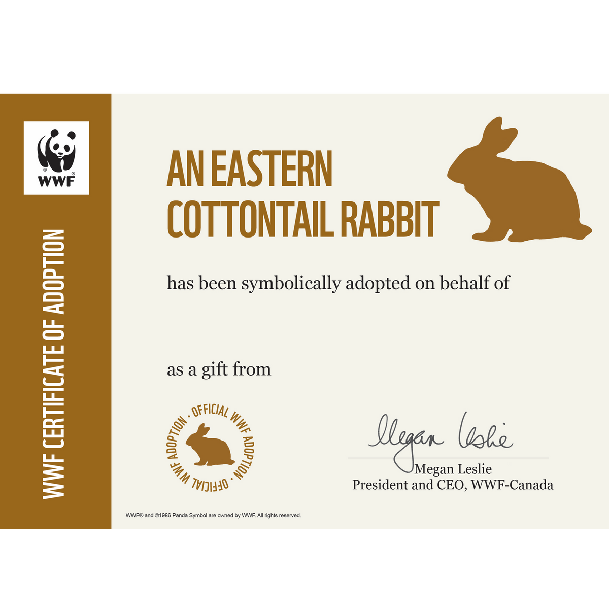 Adopt an Eastern Cottontail Rabbit | Plush & Certificate Gift Kits
