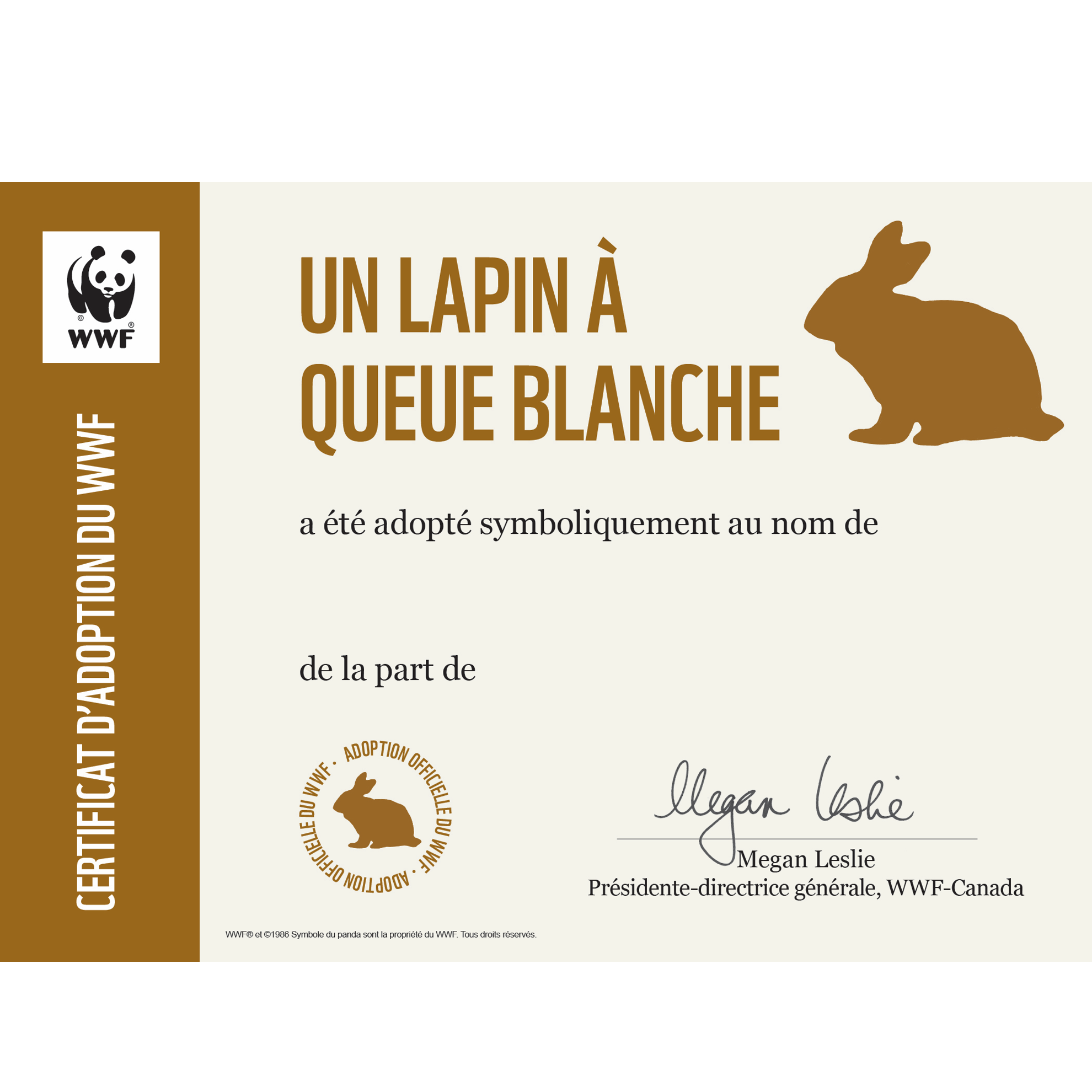 Lapin à queue blanche - WWF-Canada