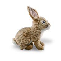 Gcottontail Rabbit Kit Adopt an Eastern Cottontail Rabbit | Plush & Certificate Gift Kits