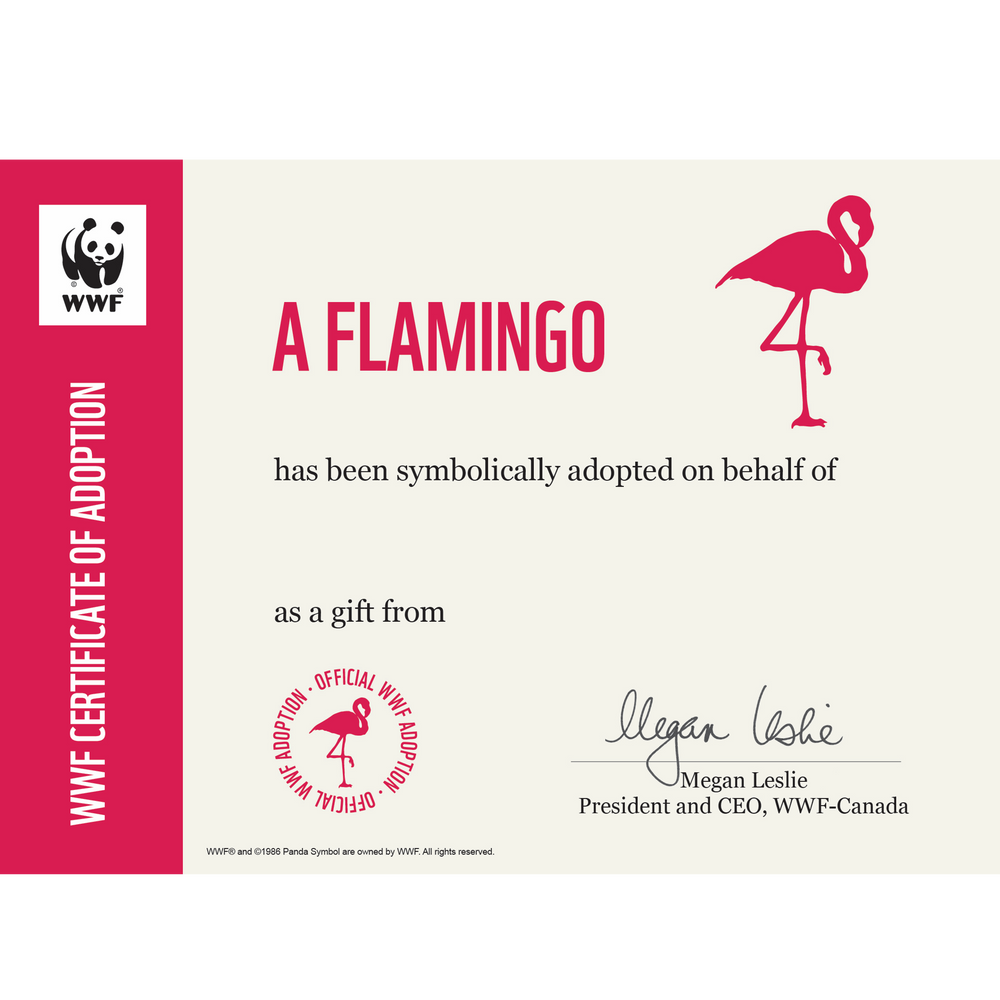 adopt-a-flamingo-plush-certificate-gift-kits