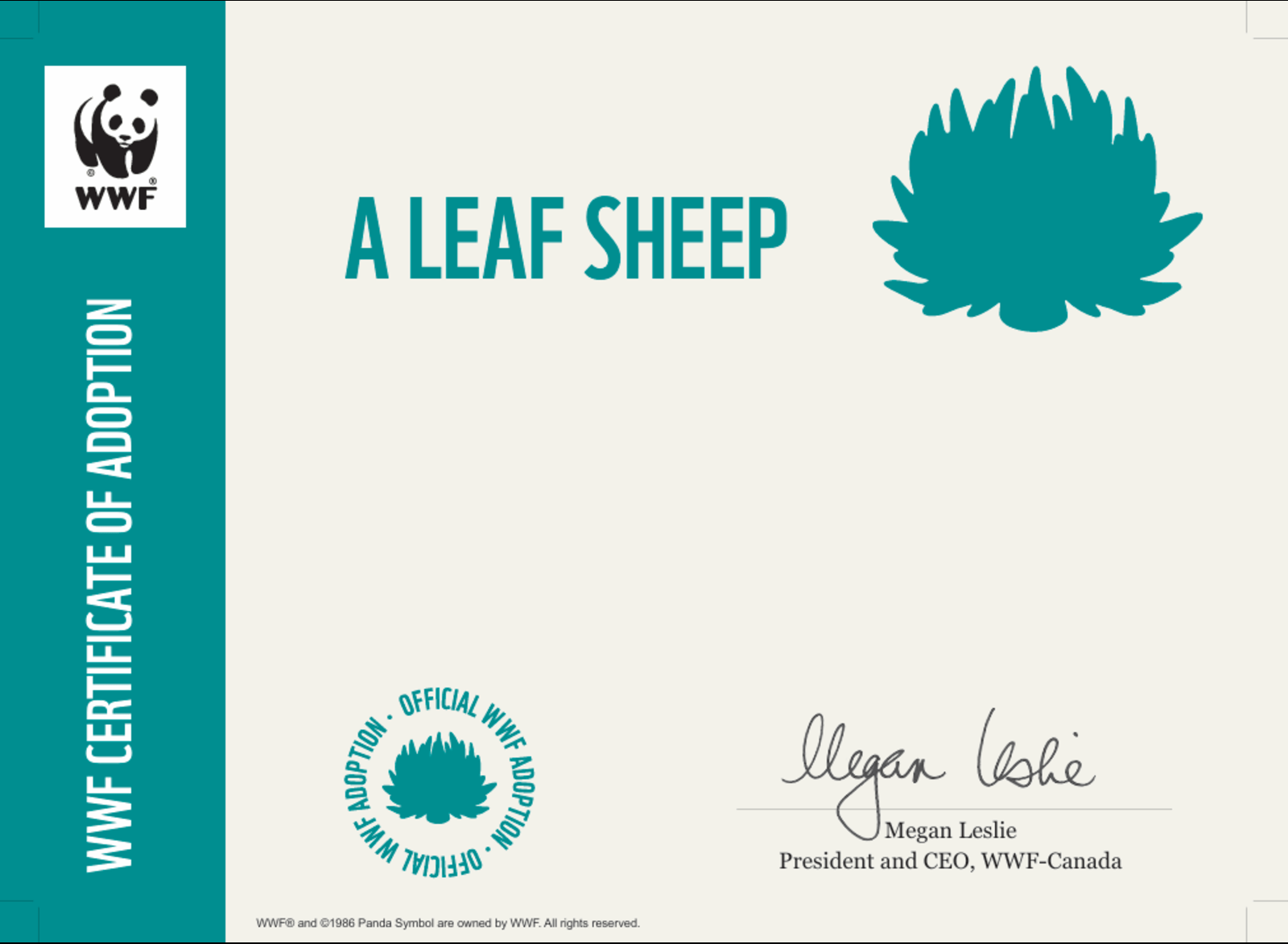 Certificate preview