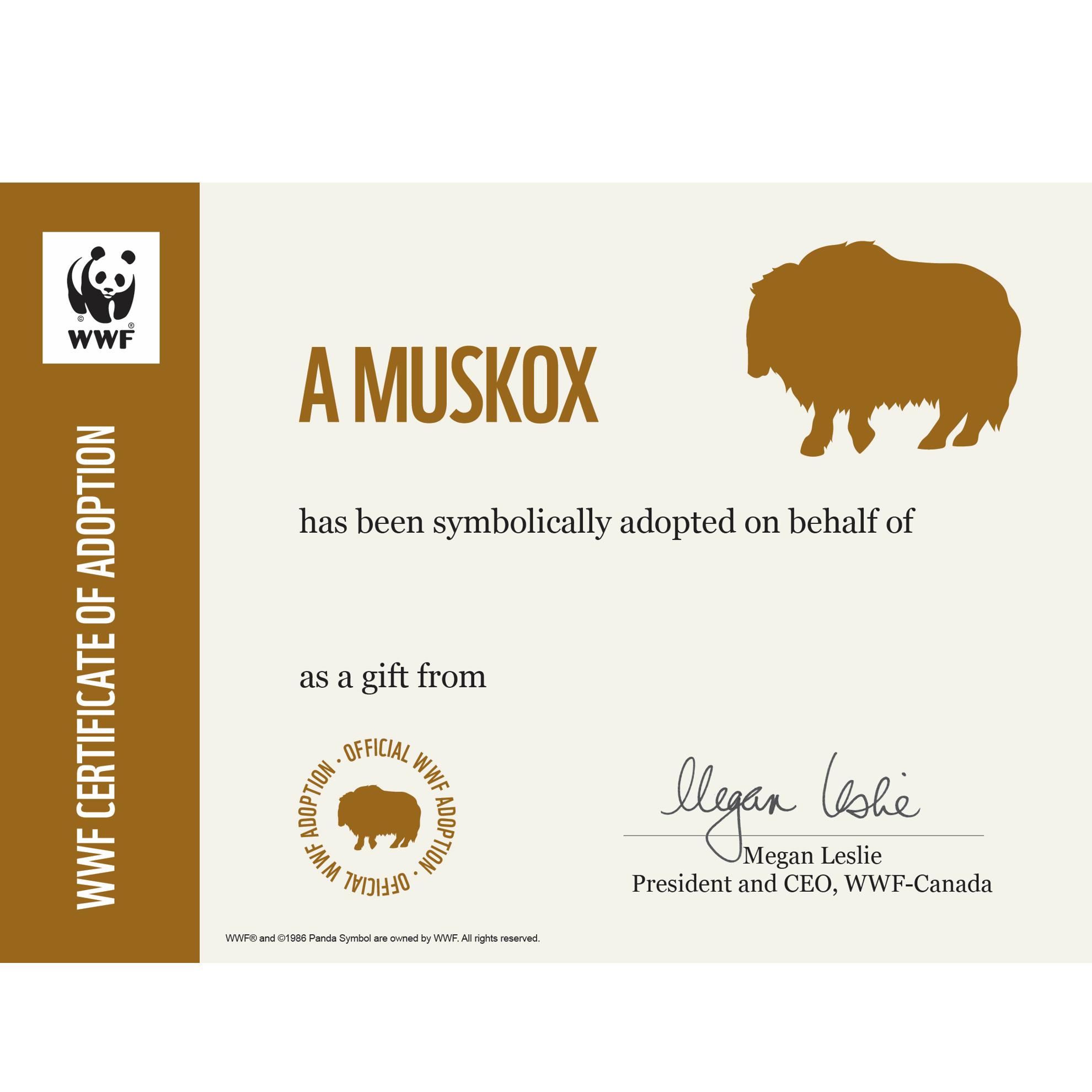 Muskox - WWF-Canada