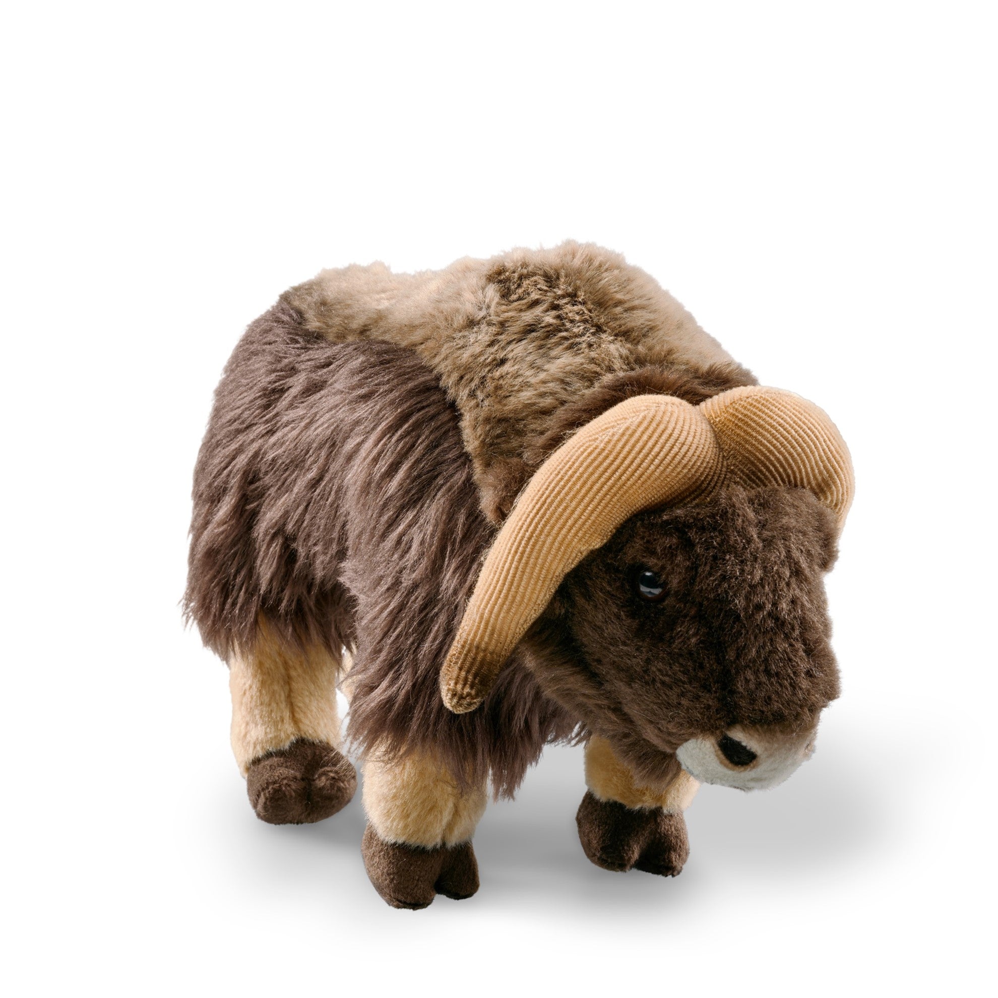 Muskox - WWF-Canada