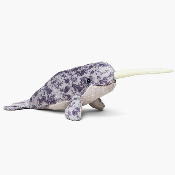 Narwhal