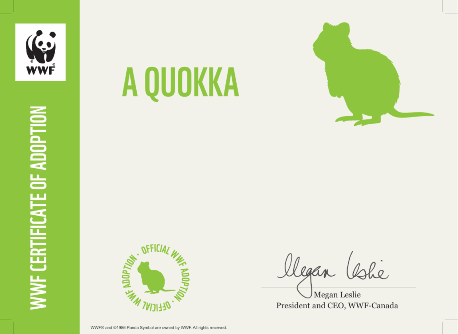 Certificate preview