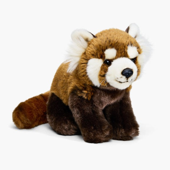 Red panda