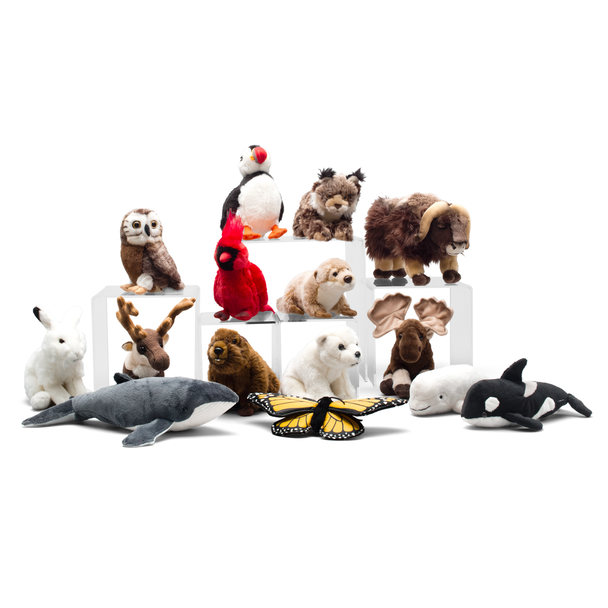 Canadian bundle - WWF-Canada