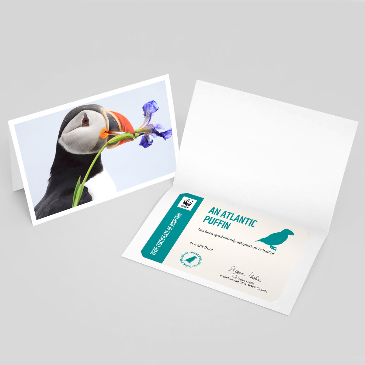 An image of a folded card with a photo of an Atlantic puffin on the front. Beside it is an image of an Atlantic puffin adoption certificate