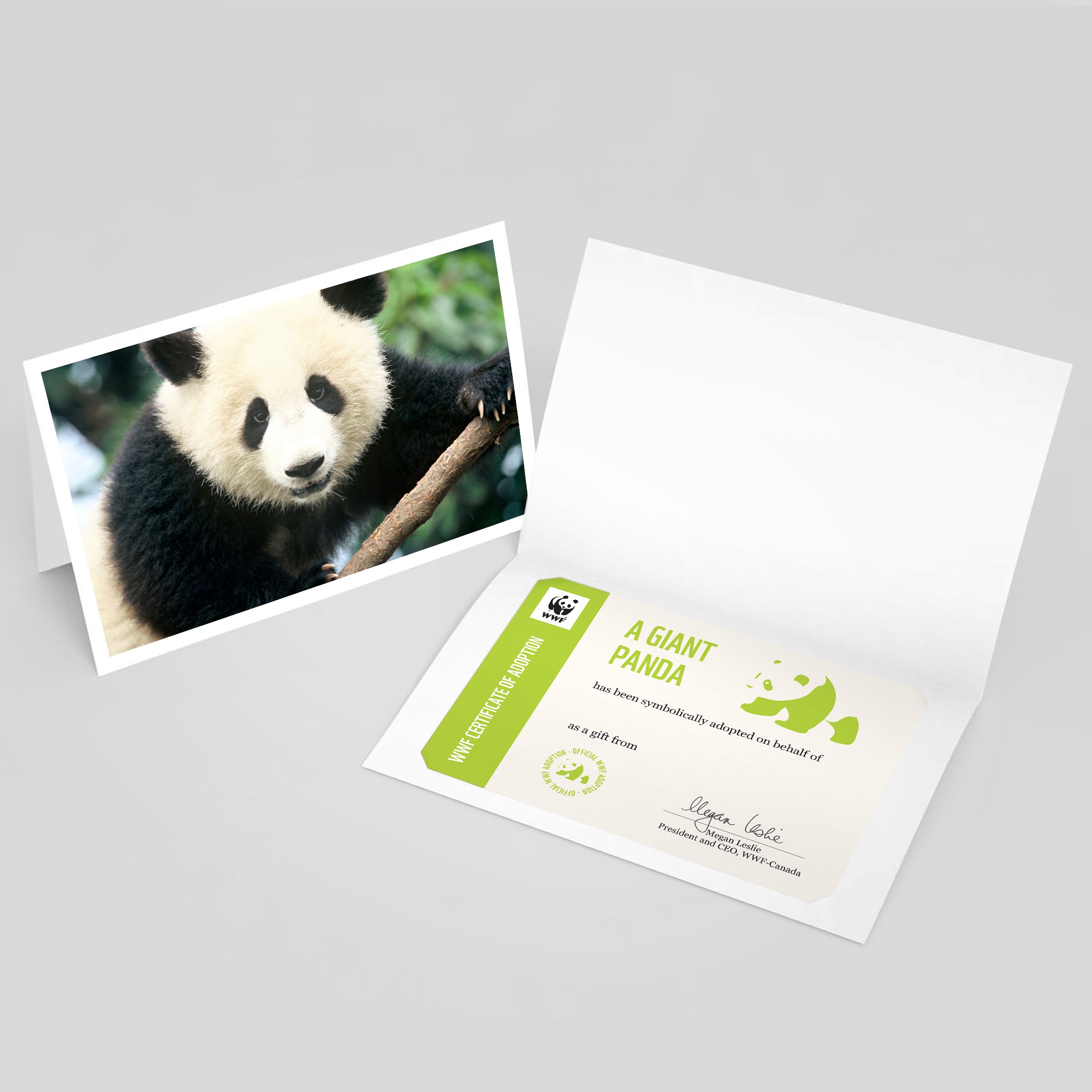 Giant panda adoption card - WWF-Canada