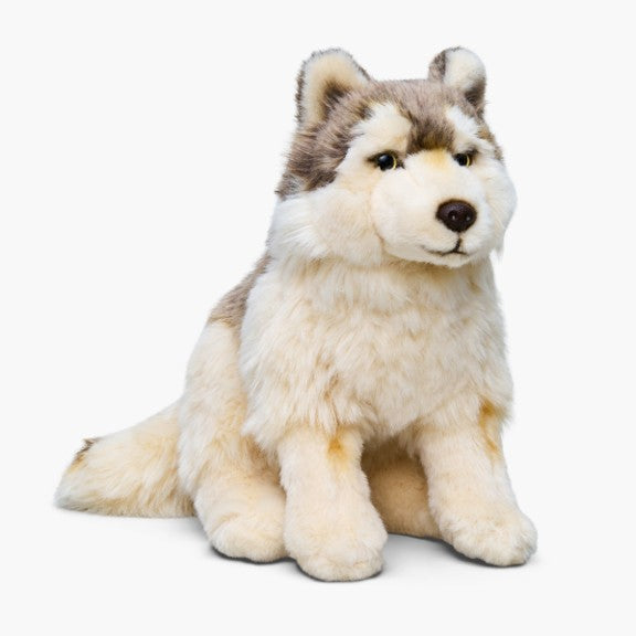 Grey wolf