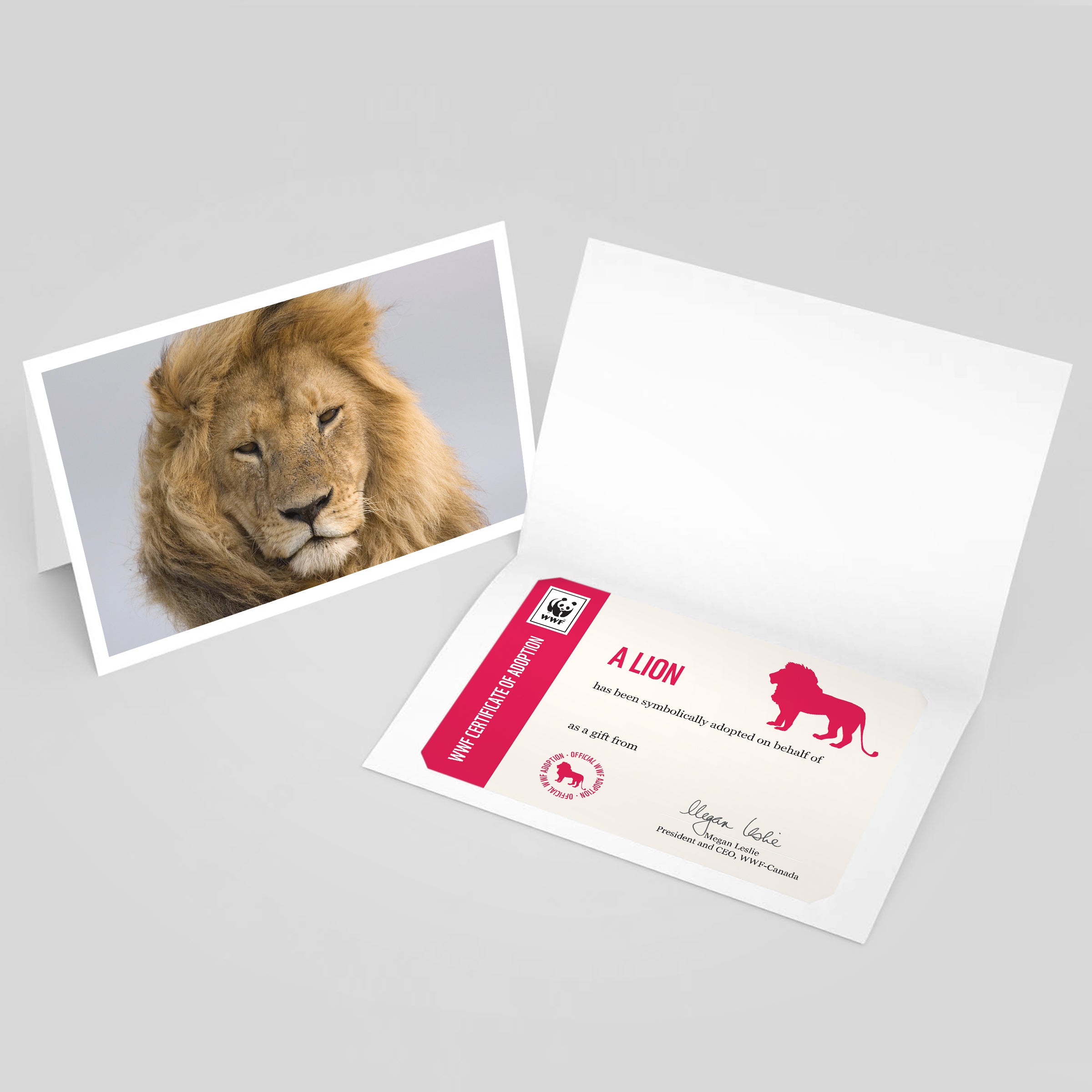 An image of a folded card with a photo of a lion on the front. Beside it is an image of a lion adoption certificate