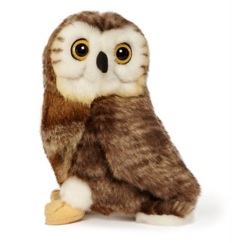 Adopt a Saw-Whet Owl | Plus & Certificate Gift Kits