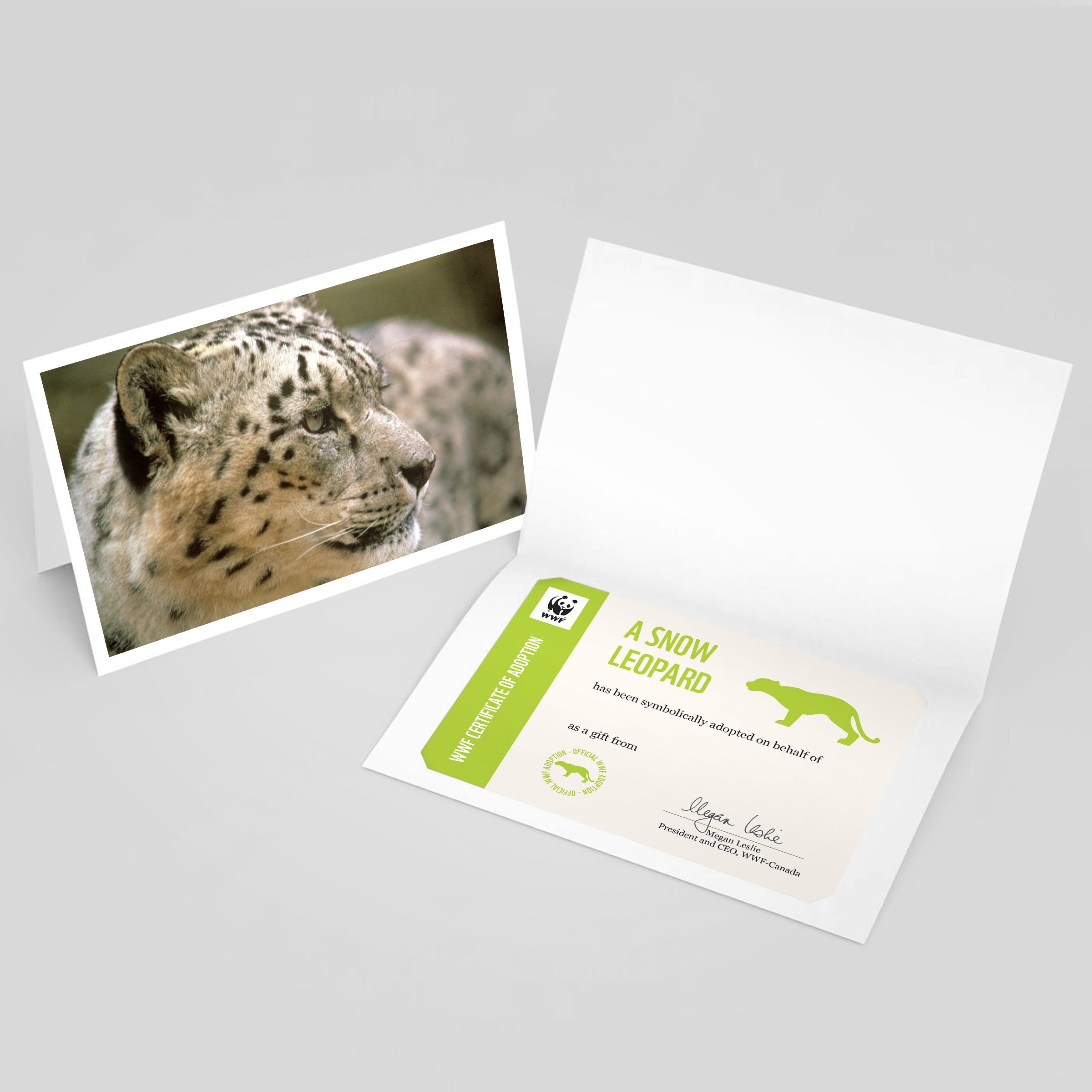 An image of a folded card with a photo of a snow leopard on the front. Beside it is an image of a snow leopard adoption certificate