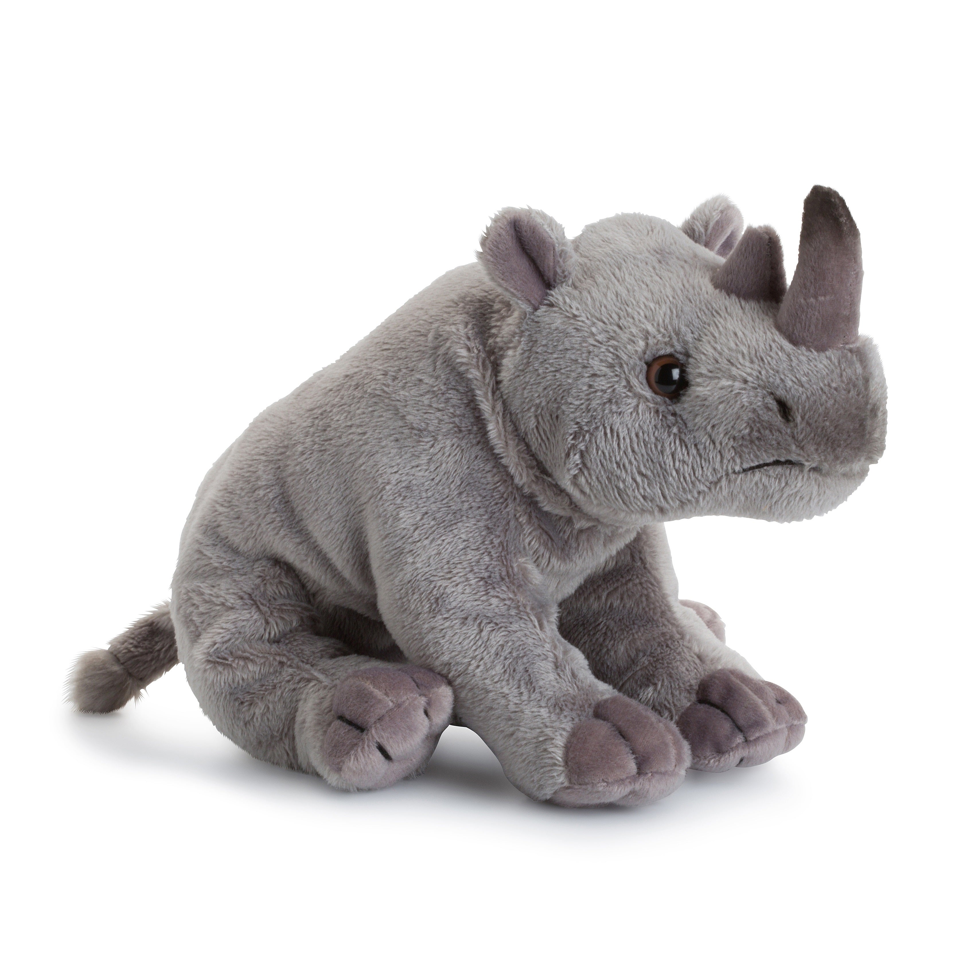 White rhinoceros - WWF-Canada