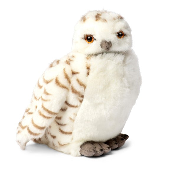 White owl deals teddy