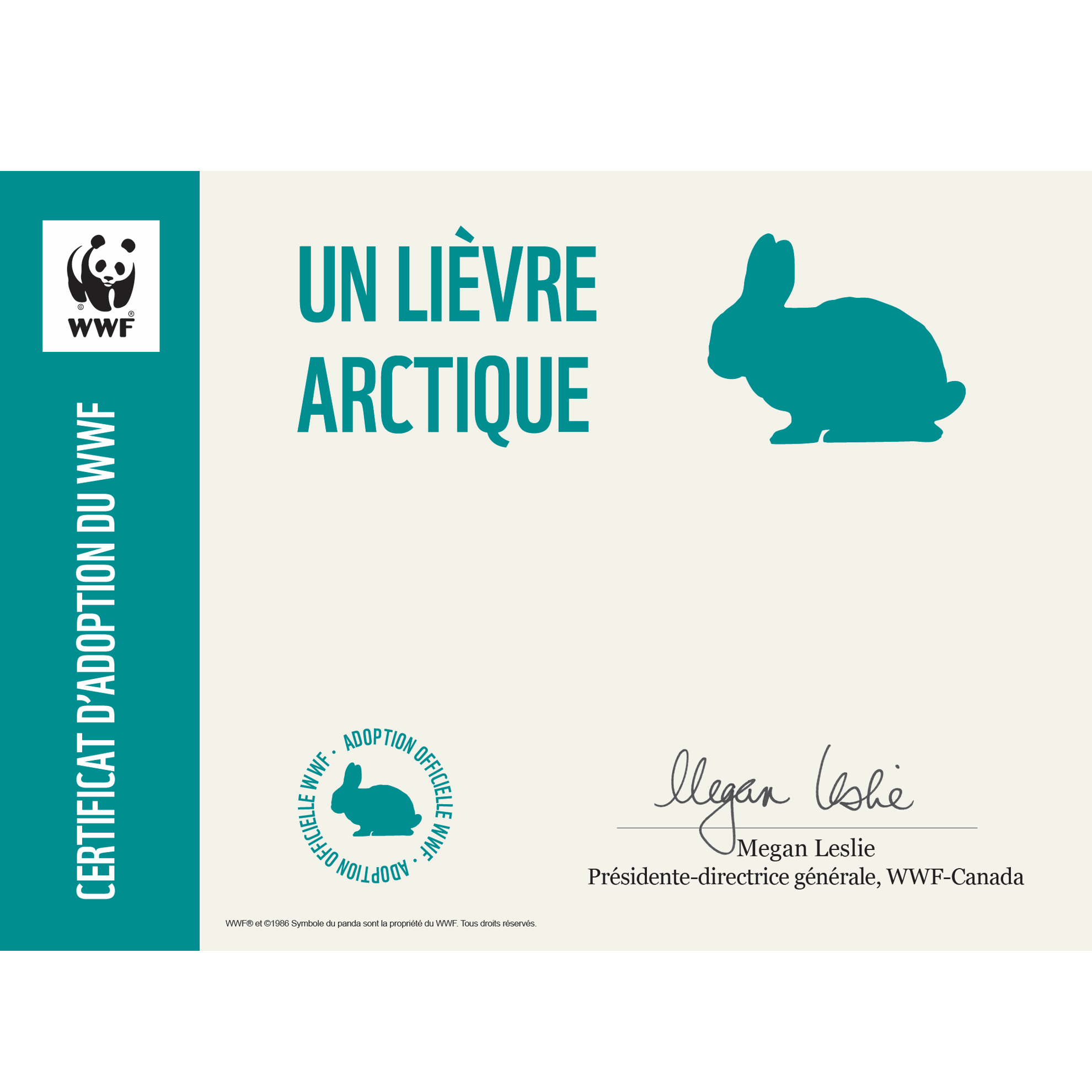 Lièvre arctique - WWF-Canada