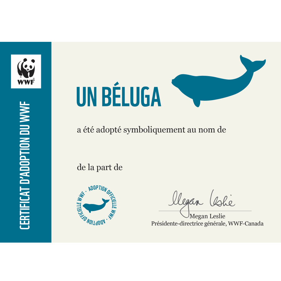 Béluga - WWF-Canada