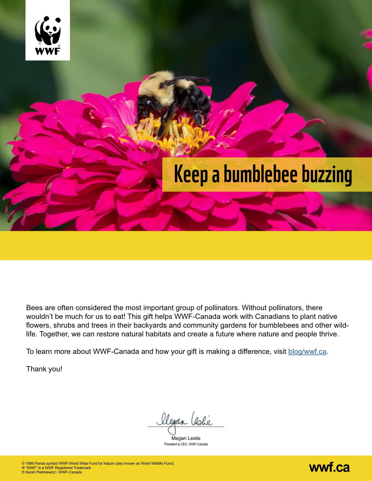 keep a bumblebee buzzing - WWF-Canada