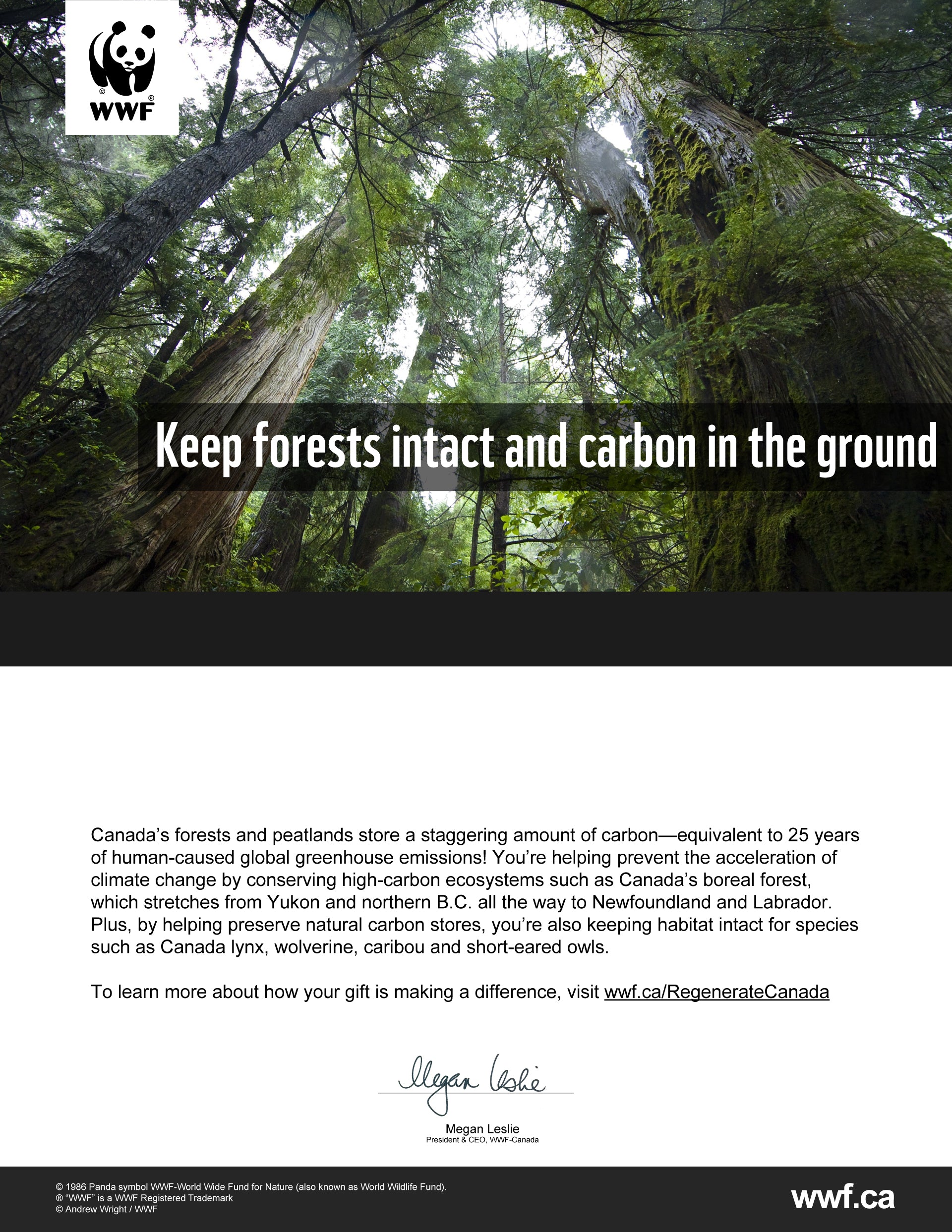 keep forests intact and carbon in the ground - WWF-Canada