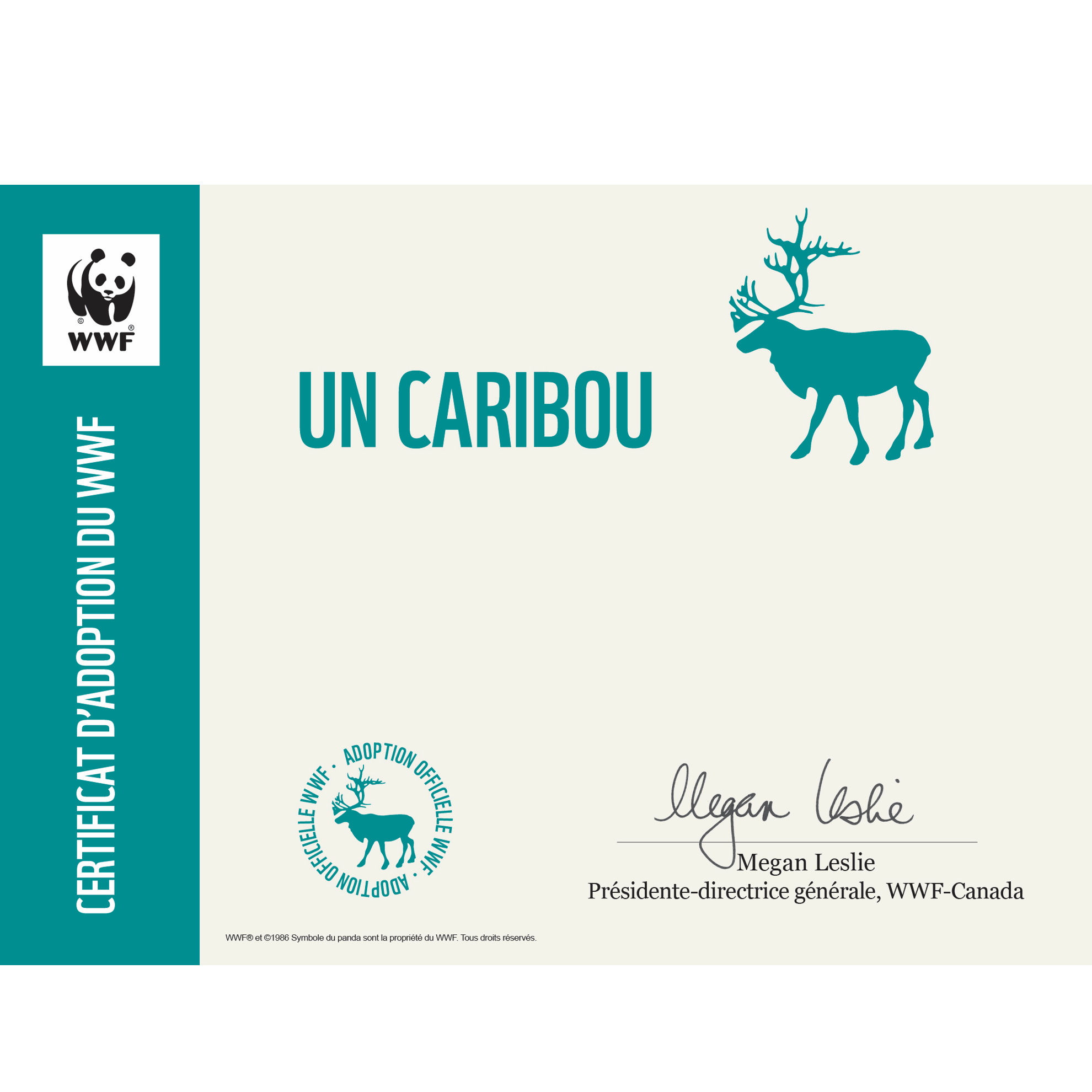 Caribou (Renne) - WWF-Canada