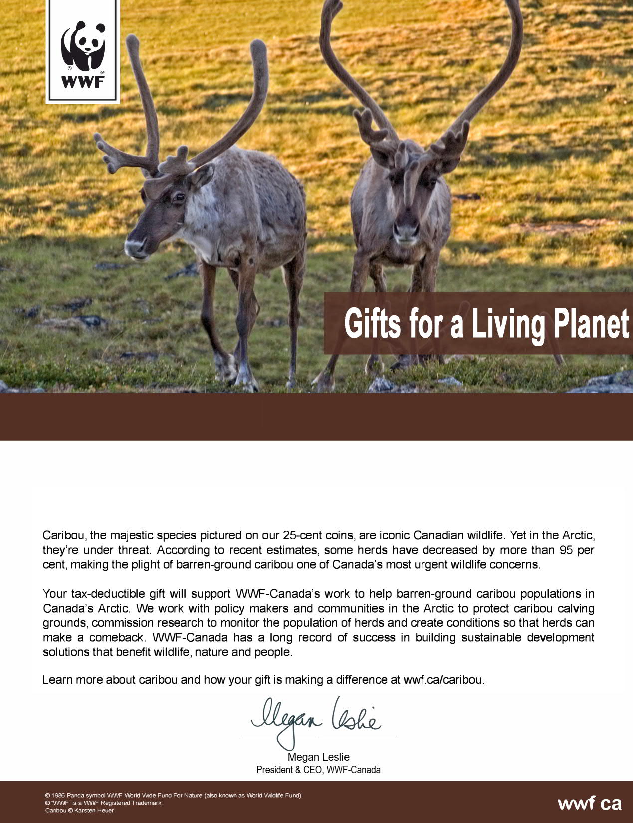 ensure Arctic caribou thrive - WWF-Canada