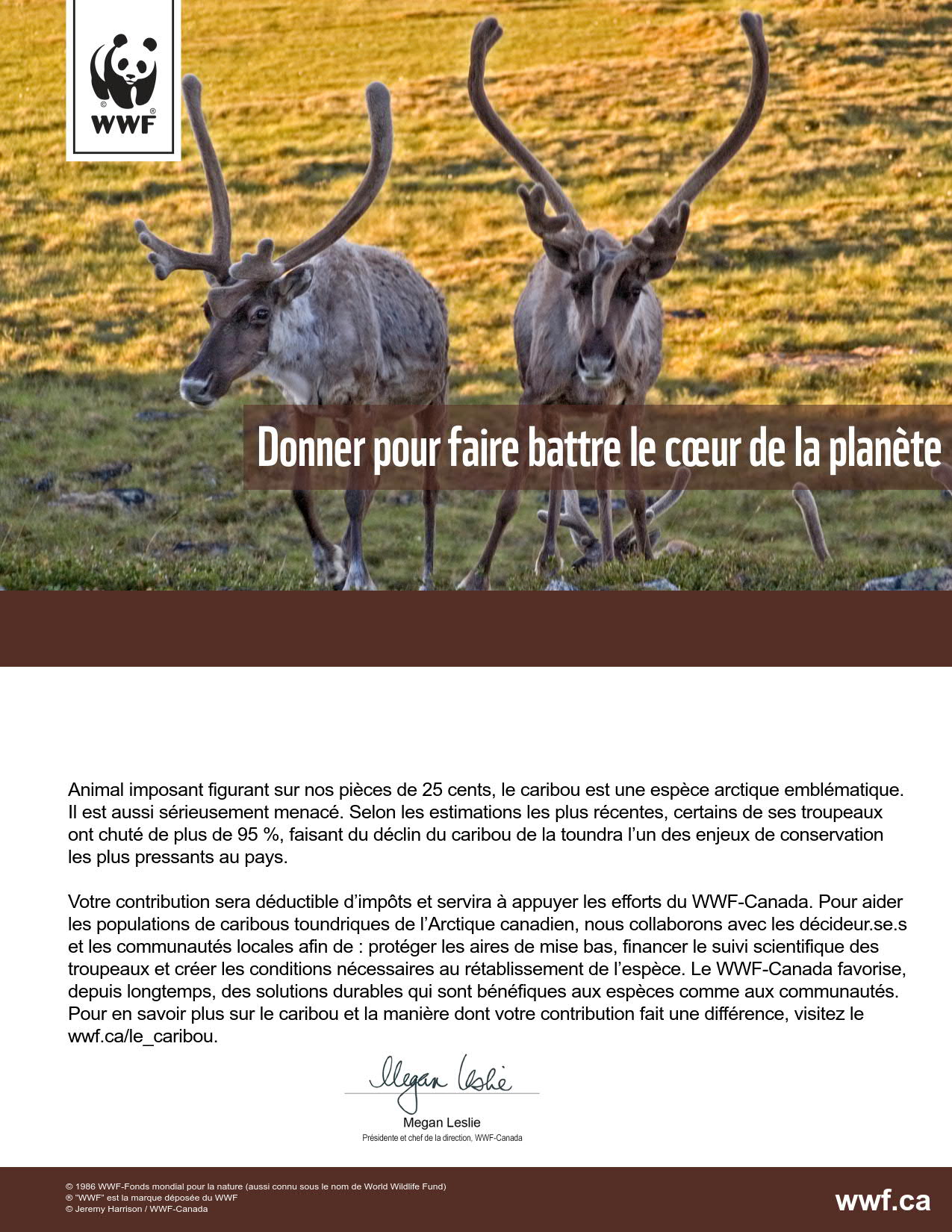 redonnons espoir au caribou de l’Arctique - WWF-Canada