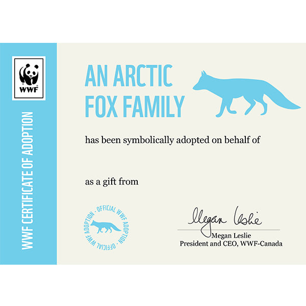 Arctic fox family certificate