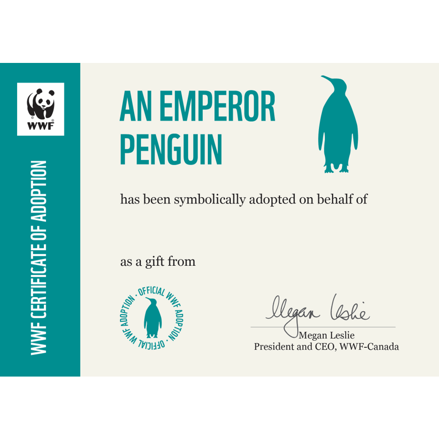 Emperor penguin - WWF-Canada