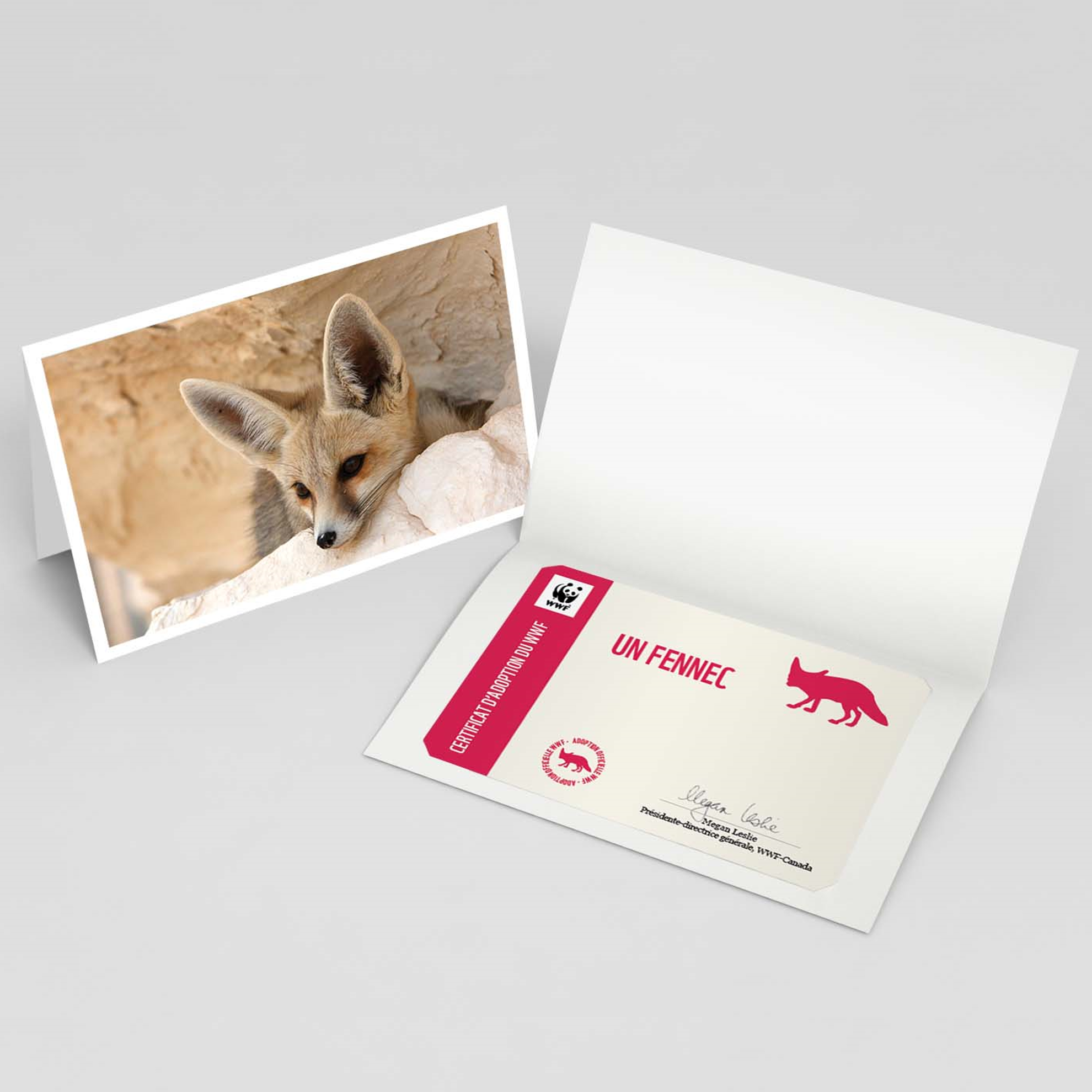 Carte fennec - WWF-Canada