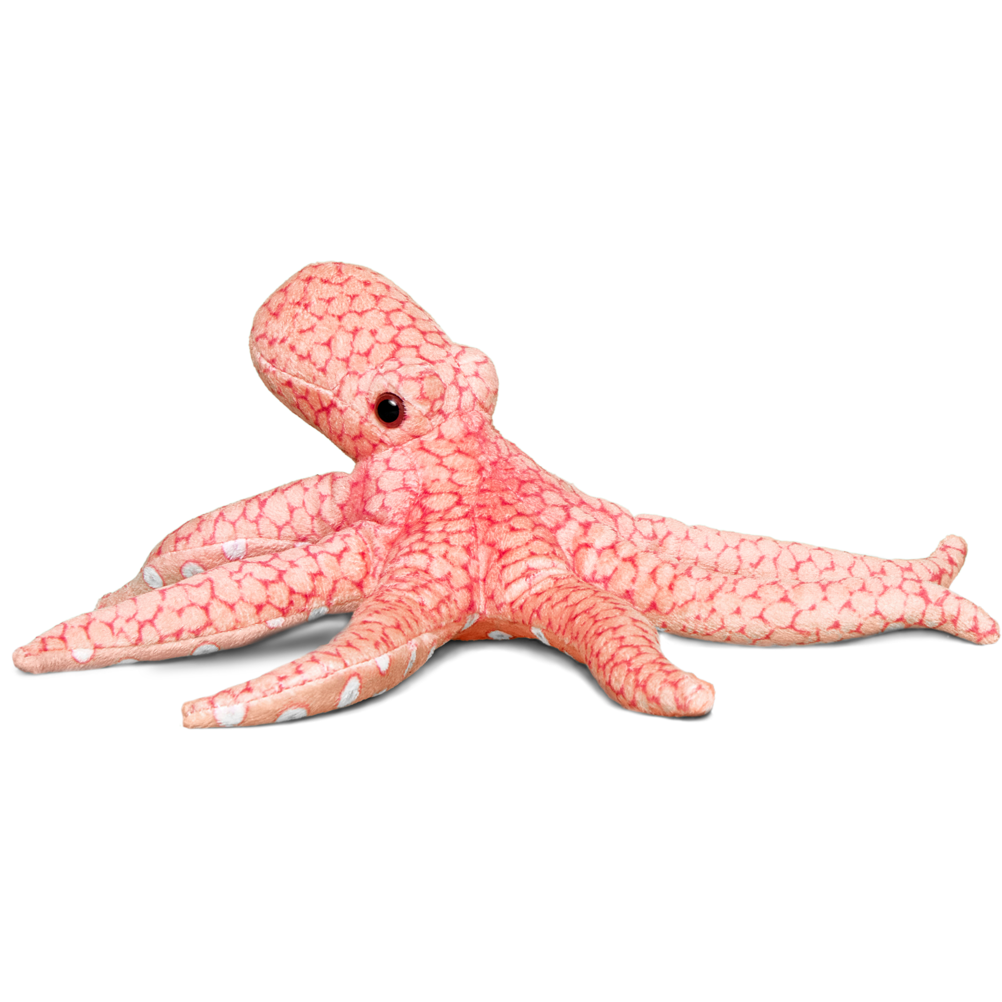 Adopt a Giant Pacific Octopus | Plush & Certificate Gift Kits