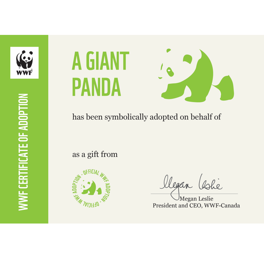 Panu Panda - WWF-Canada