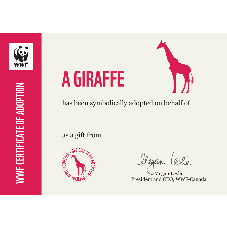 Giraffe adoption certificate