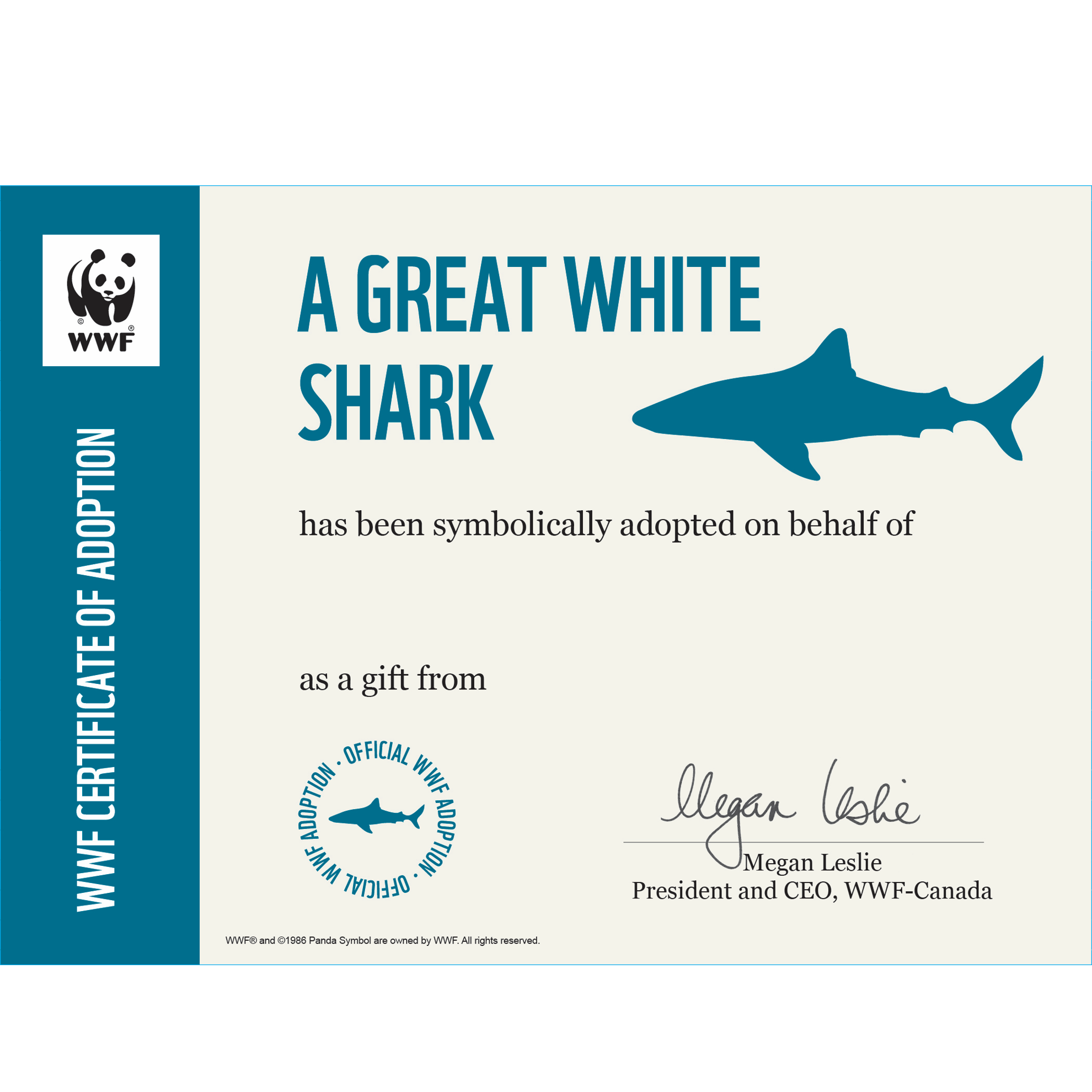Great white shark symbolic adoption certificate