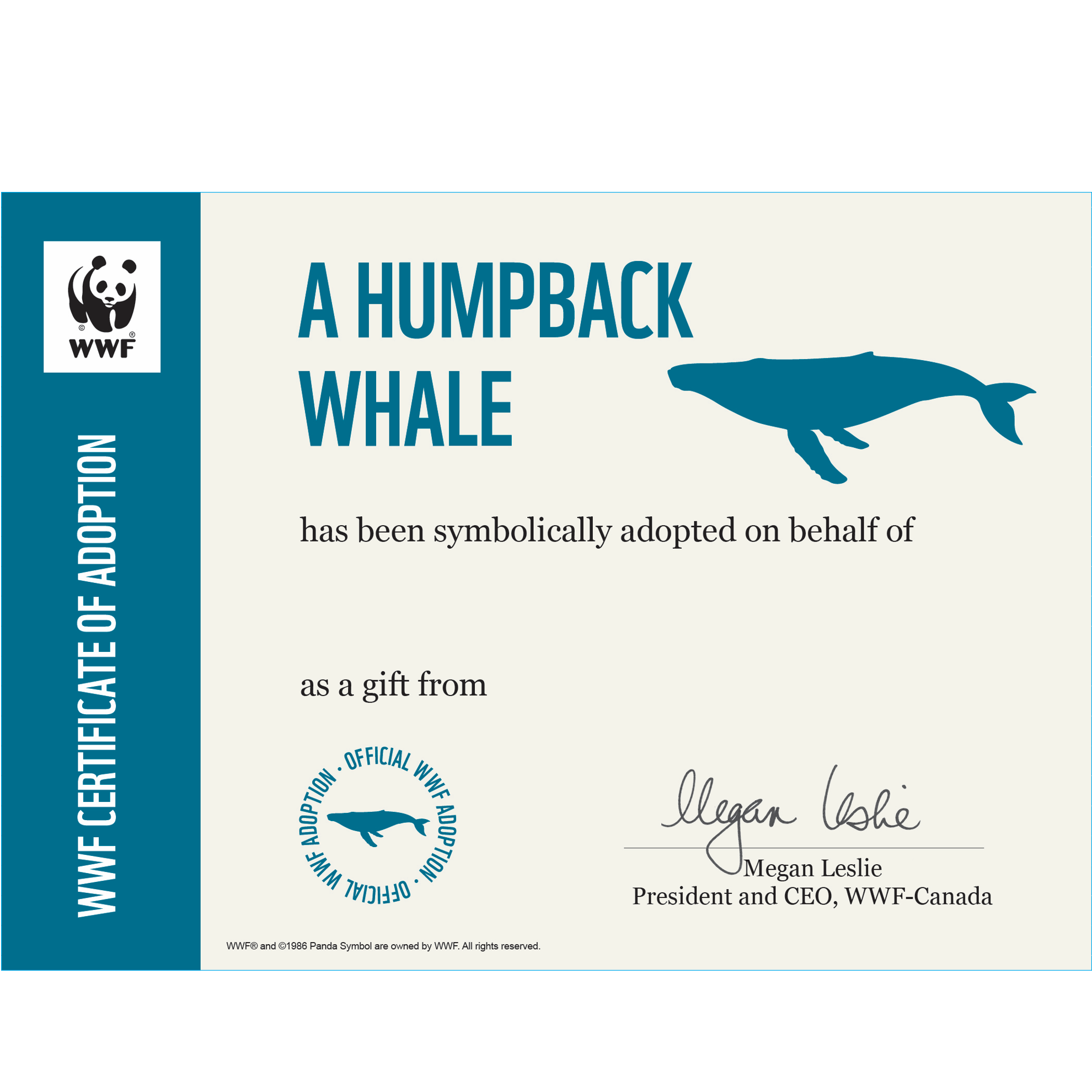 A humpback whale symbolic adoption certificate