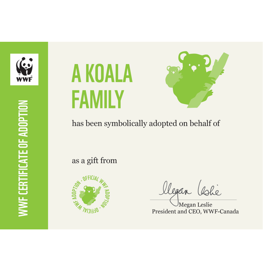 Koala family adoption certificate