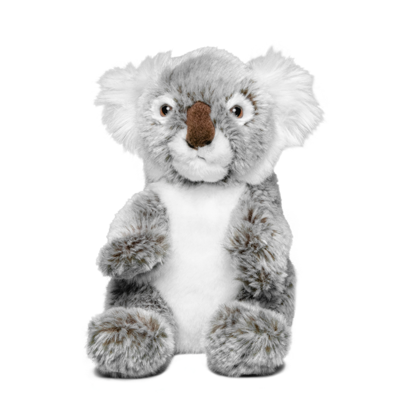 Adopt a Koala | Plush & Certificate Gift Kits