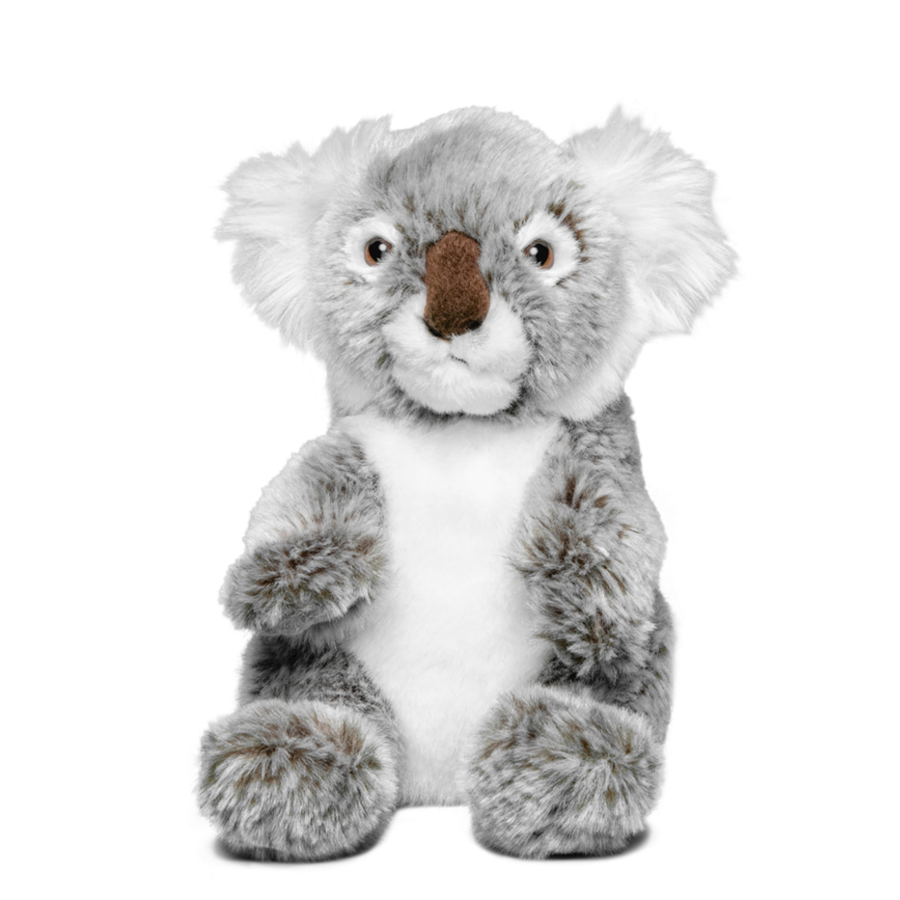 Baby Koala Jimmy - Koala Painting for sale- Koala Adoption- by