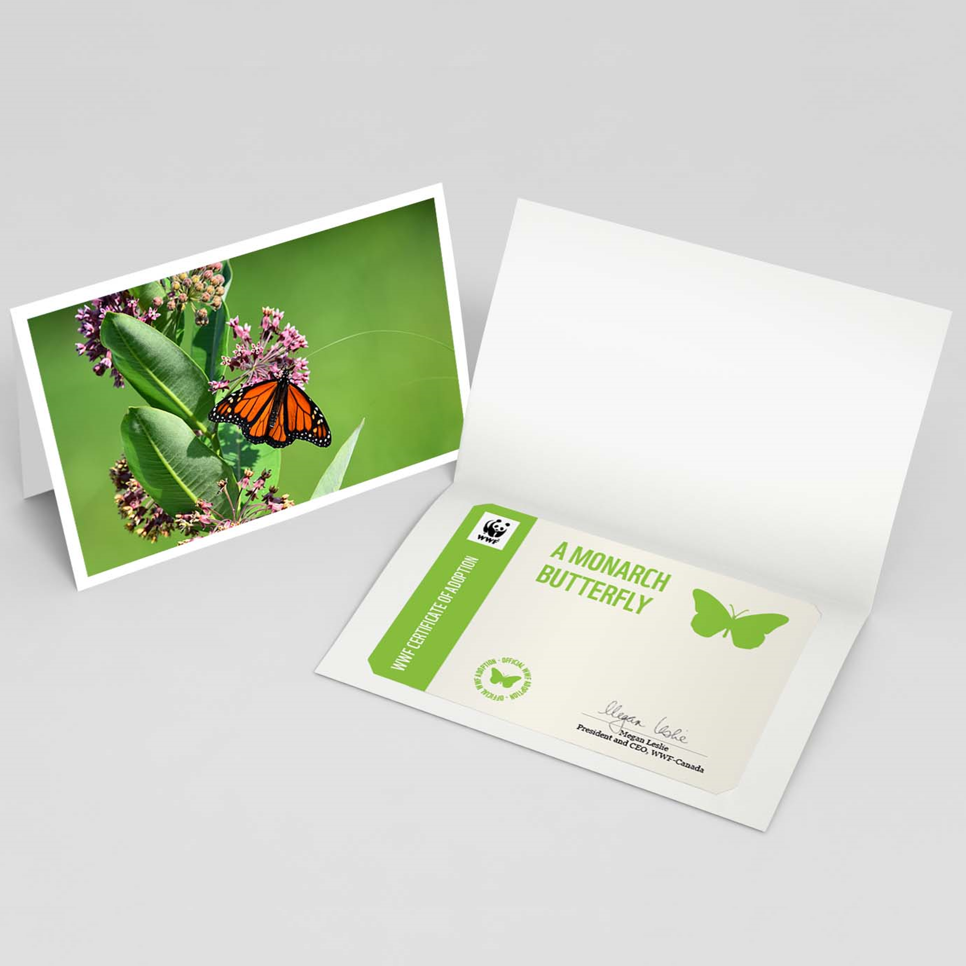 Pictured on the left is the monarch butterfly adoption card cover featuring a picture of a monarch butterfly on a plant. Beside it is the inside of the adoption card containing a monarch butterfly adoption certificate template.