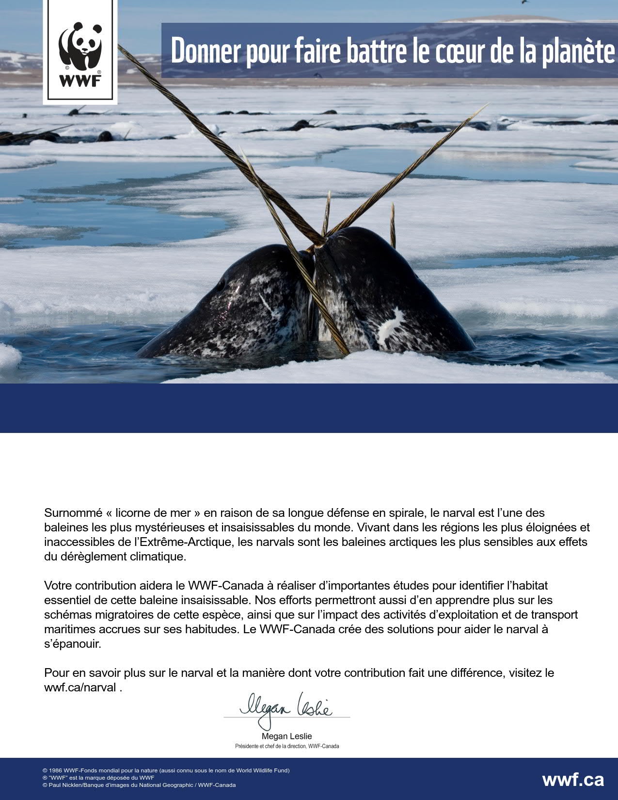 protégeons le refuge de glace des narvals - WWF-Canada