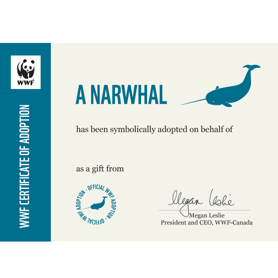 Narwhal - WWF-Canada