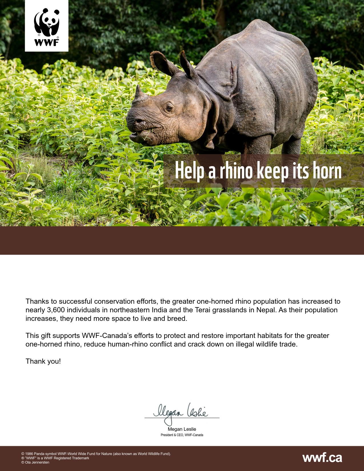 ensure a rhino keeps its horn - WWF-Canada