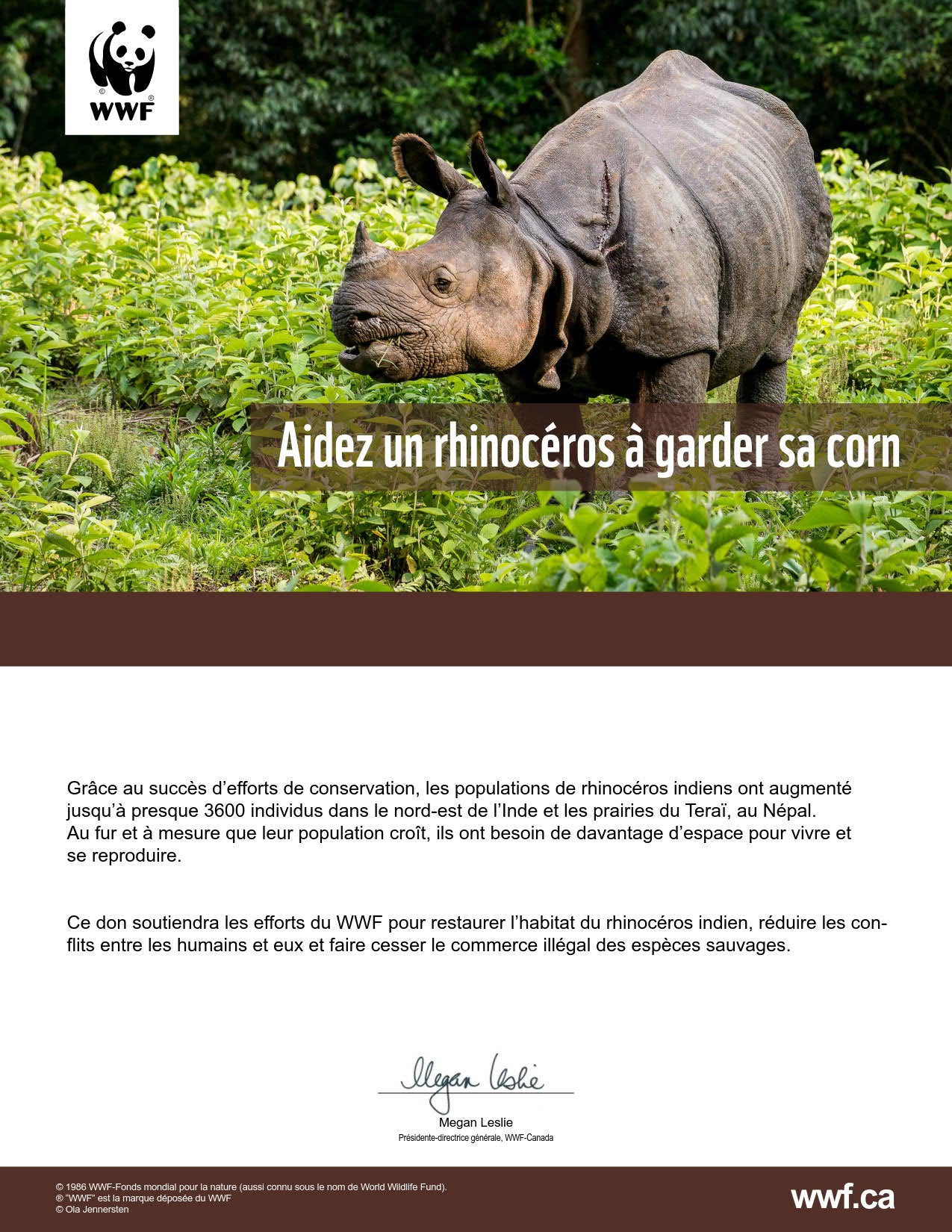 aidons le rhinocéros à sauver sa corne - WWF-Canada