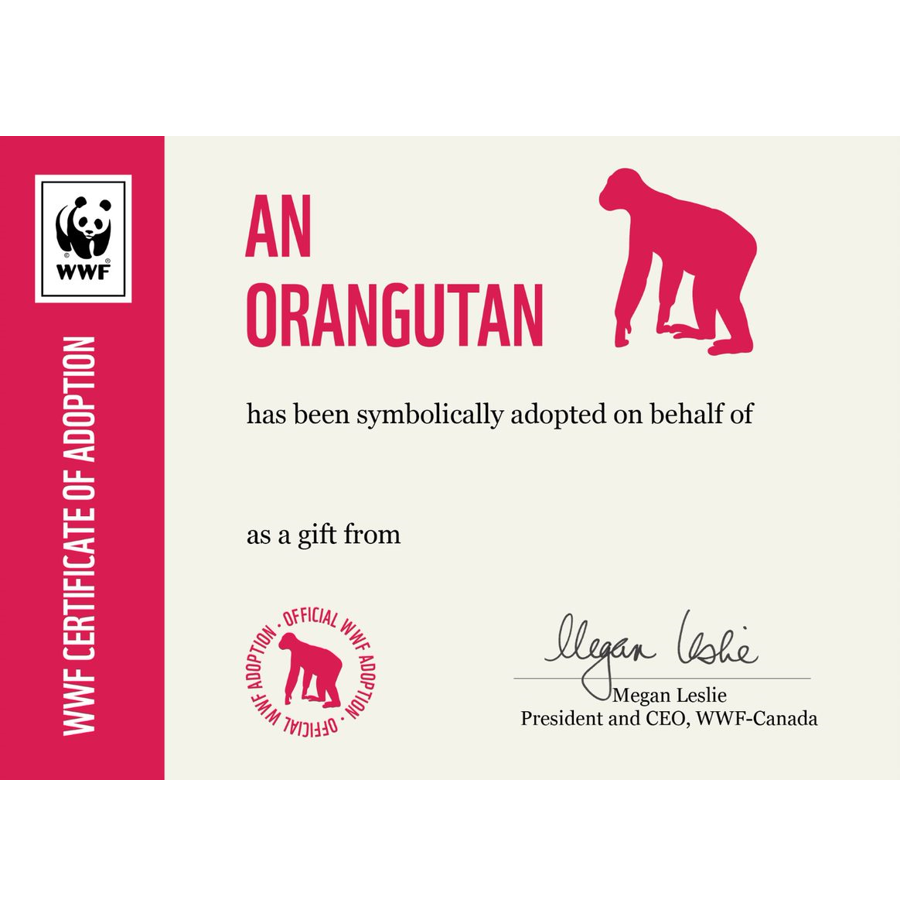 Orangutan adoption certificate