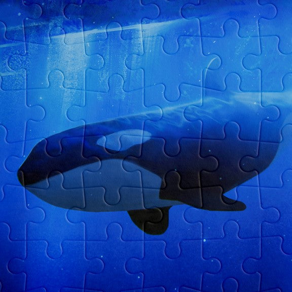 Southern resident killer whale puzzle - WWF-Canada