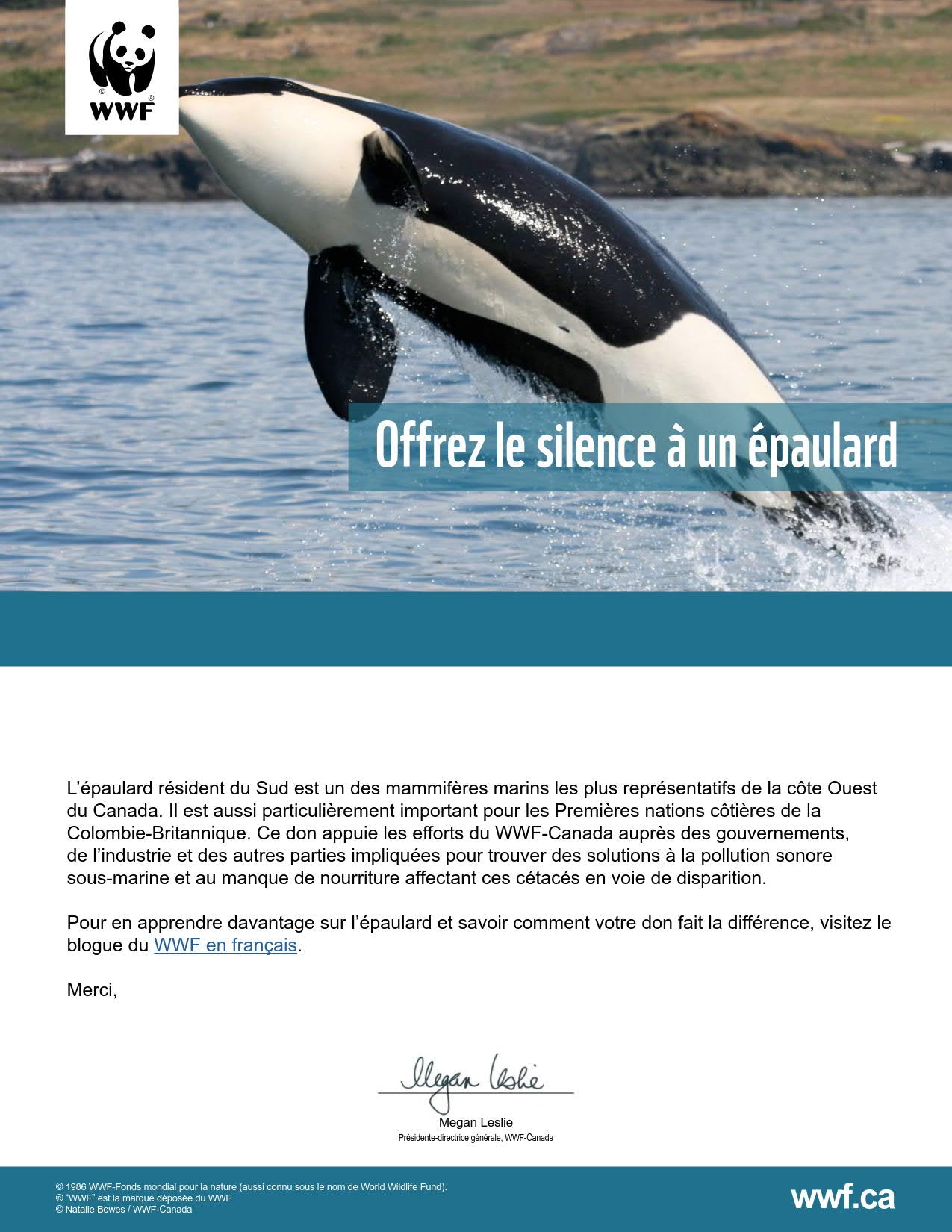 offrons le silence à un épaulard - WWF-Canada