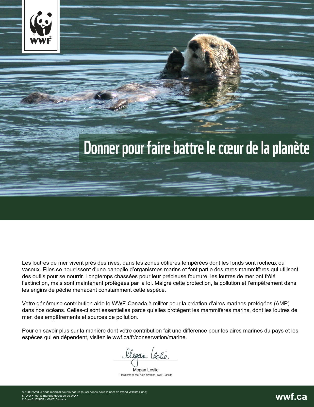 protégeons l’habitat de la loutre de mer - WWF-Canada